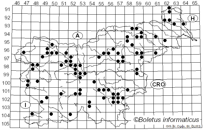 <i>Inocybe geophylla</i> (Bull.) P. Kumm. (1871)