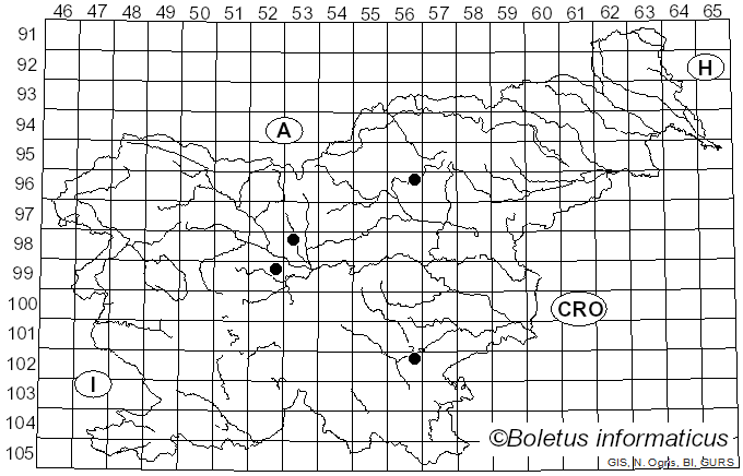 <i>Podosphaera pannosa</i> (Wallr.) de Bary (1870)