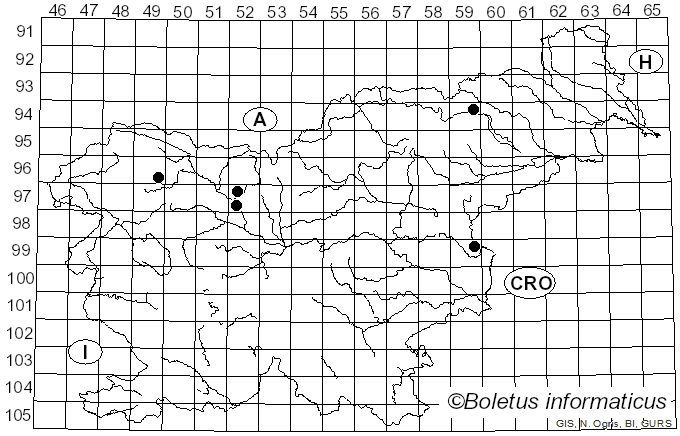 <i>Galerina sphagnorum</i> (Pers.) Kühner (1935)