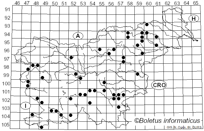 <i>Cortinarius bulliardii</i> (Pers.) Fr. (1838)