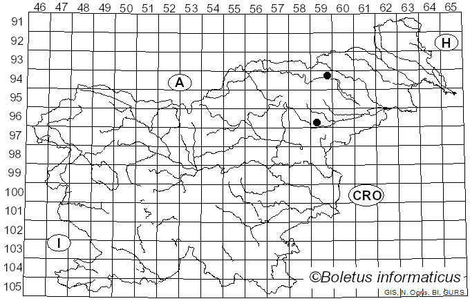 <i>Inocybe langei</i> R. Heim (1931)