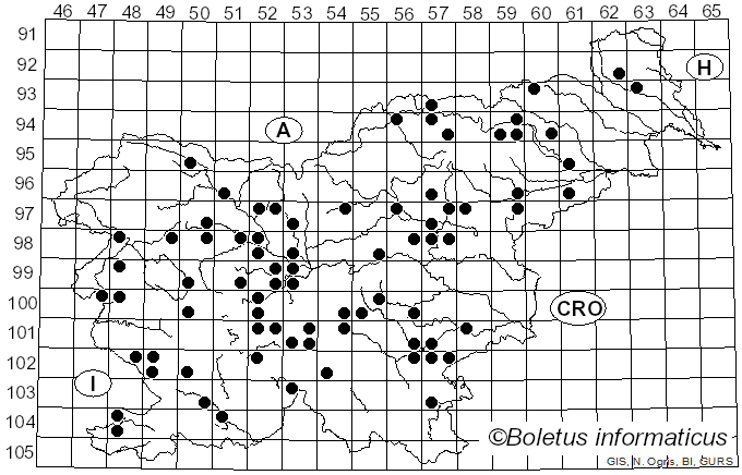 <i>Agaricus arvensis</i> Schaeff. (1774)