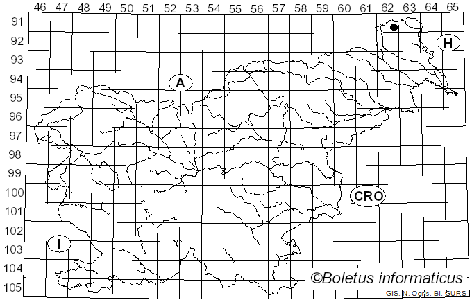 <i>Mycena subcaerulea</i> Sacc. (1887)
