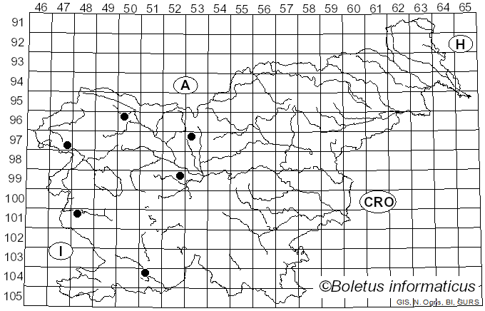 <i>Hymenoscyphus scutula</i> (Pers.) W. Phillips (1887)