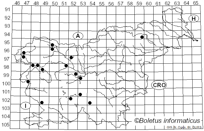 <i>Lactarius hysginus</i> (Fr.) Fr. (1838)