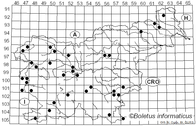 <i>Fomitiporia punctata</i> (P. Karst.) Murrill (1947)