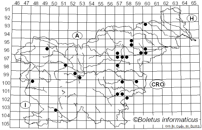 <i>Pluteus umbrosus</i> (Pers.) P. Kumm. (1871)