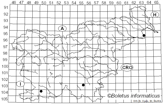 <i>Dacryobolus karstenii</i> (Bres.) Oberw. ex Parmasto (1968)