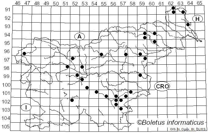 <i>Pluteus nanus</i> (Pers.) P. Kumm. (1929)