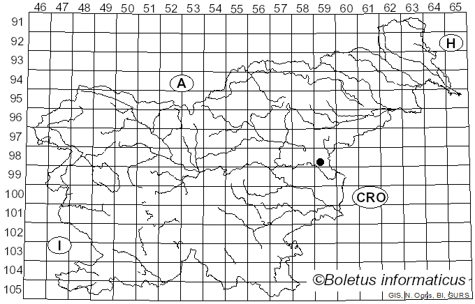 <i>Simocybe haustellaris</i> (Fr.) Watling (1981)