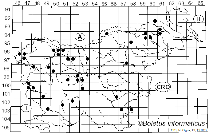 <i>Phylloporia ribis</i> (Schumach.) Ryvarden (1978)