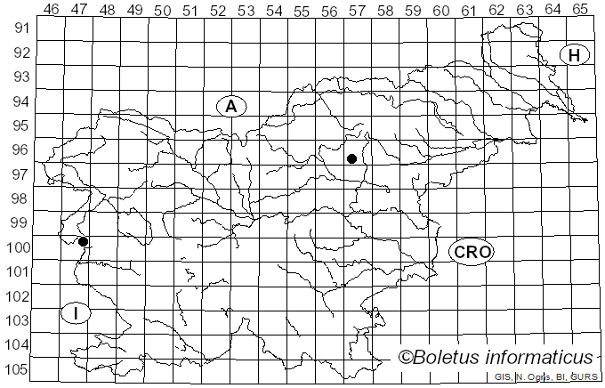 <i>Parasola hemerobia</i> (Fr.) Redhead, Vilgalys & Hopple (2001)
