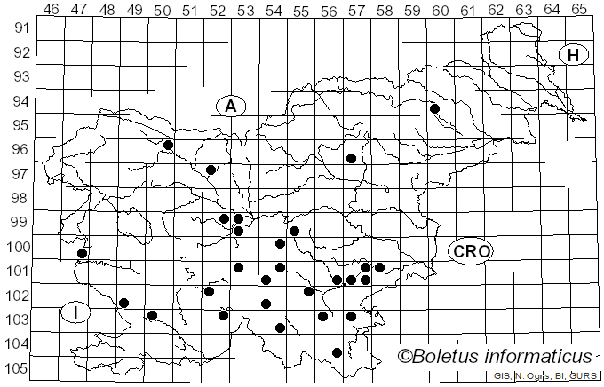 <i>Pseudoinonotus dryadeus</i> (Pers.) T. Wagner & M. Fisch. (2001)