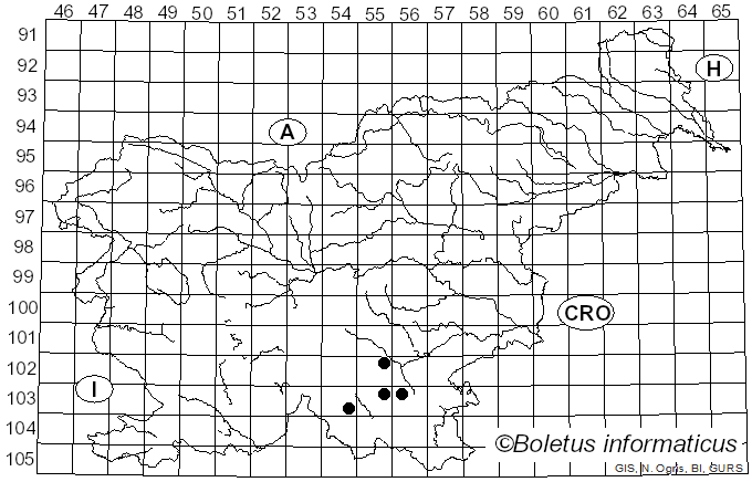 <i>Hyphodontia spathulata</i> (Schrad.) Parmasto (1968)