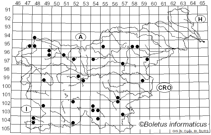 <i>Cortinarius hercynicus</i> (Pers.) M.M. Moser (1967)