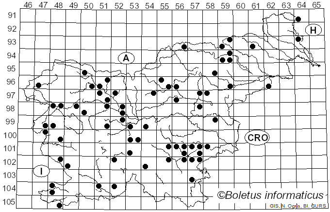 <i>Cortinarius caerulescens</i> (Schaeff.) Fr. (1838)
