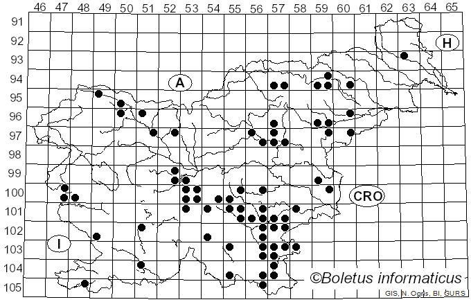 <i>Collybiopsis ramealis</i> (Bull.) Millsp. (1913)