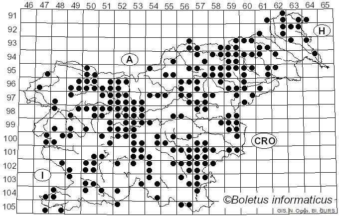 <i>Laccaria laccata</i> (Scop.) Fr. (1884)