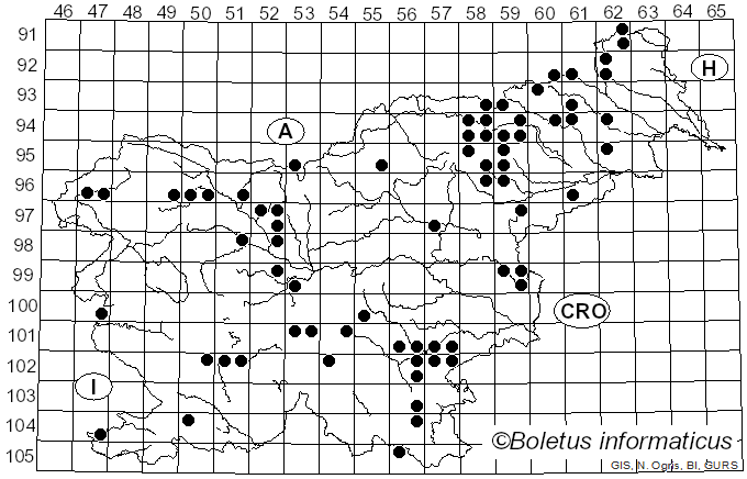 <i>Mycena leptocephala</i> (Pers.) Gillet (1876)
