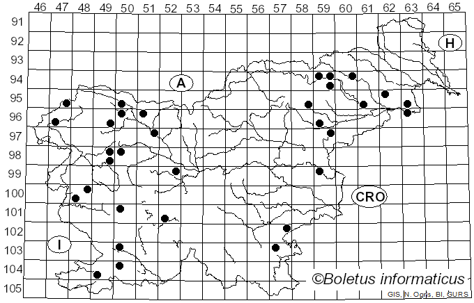 <i>Calycina</i> Nees ex Gray (1821)