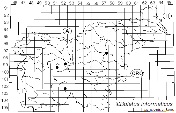 <i>Phialemonium</i> W. Gams & McGinnis (1983)