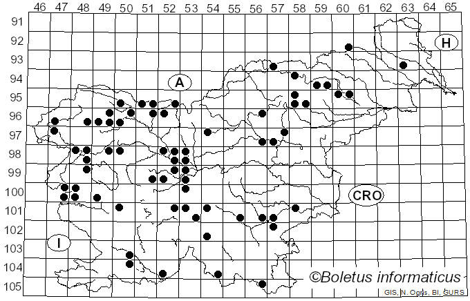 <i>Protostropharia semiglobata</i> (Batsch) Redhead, Moncalvo & Vilgalys (2013)