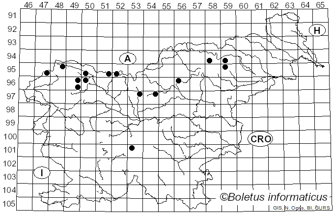 <i>Rutstroemia bulgarioides</i> (Rabenh.) P. Karst.