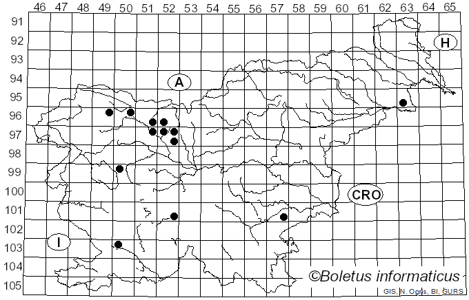 <i>Rhizocybe</i> Vizzini, G. Moreno, P. Alvarado & Consiglio (2015)