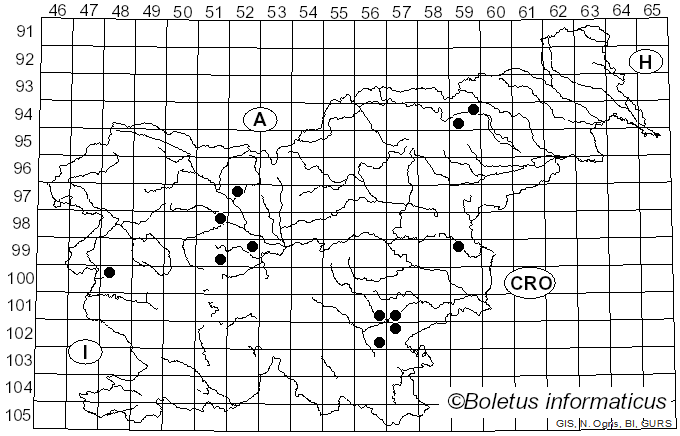 <i>Cortinarius turgidus</i> Fr. (1838)