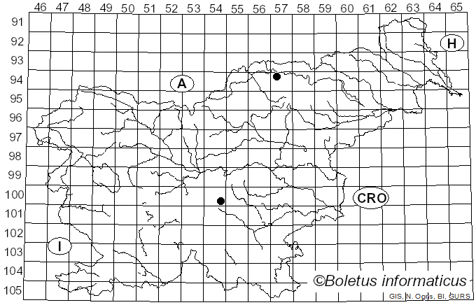 <i>Inocybe tabacina</i> Furrer-Ziogas (1952)
