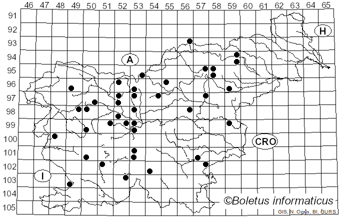 <i>Panaeolus semiovatus</i> (Sowerby) S. Lundell & Nannf. (1938)
