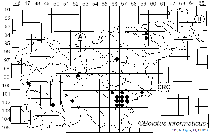 <i>Boletus badiorufus</i> R. Heim (1960)
