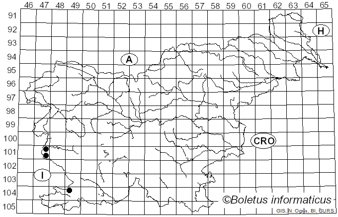 <i>Coprinellus bipellis</i> (Romagn.) P. Roux, Guy García & Borgarino (2006)
