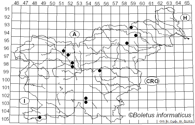 <i>Leocarpus fragilis</i> (Dicks.) Rostaf. (1874)