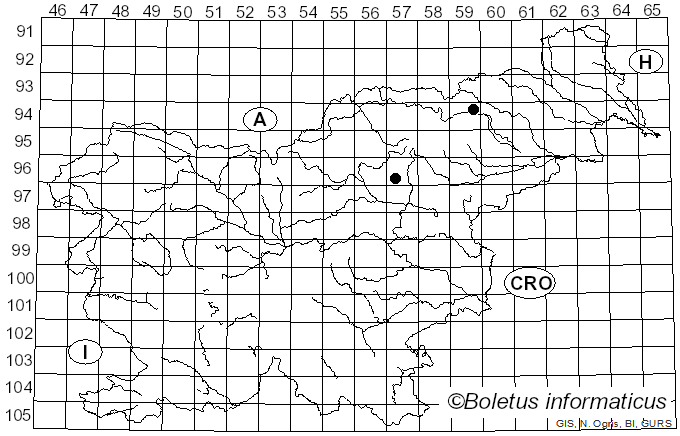 <i>Psilocybe caerulipes</i> Peck