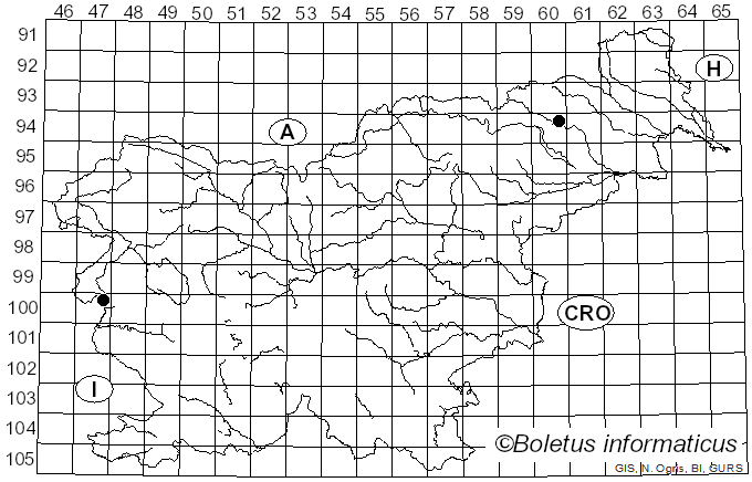 <i>Fracchiaea broomeana</i> (Berk.) Petch (1917)