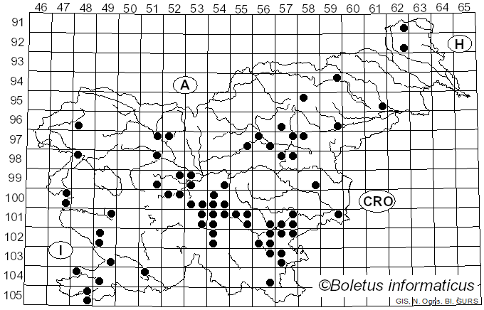 <i>Rubroboletus dupainii</i> (Boud.) Kuan Zhao & Zhu L. Yang (2014)