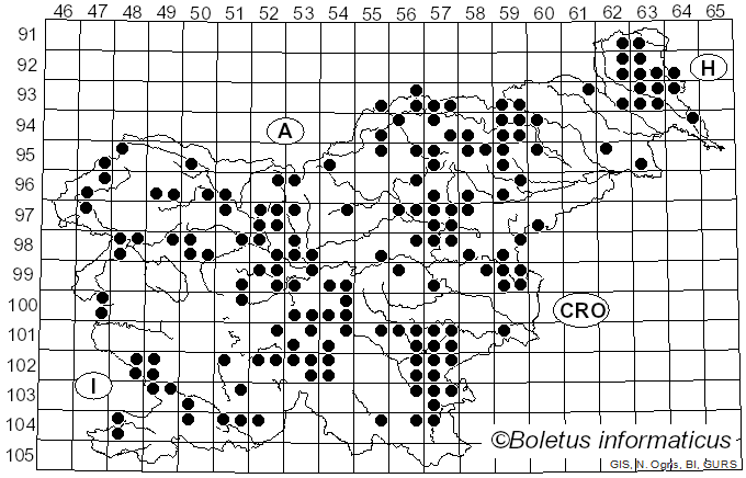<i>Calvatia</i> Fr. (1849)