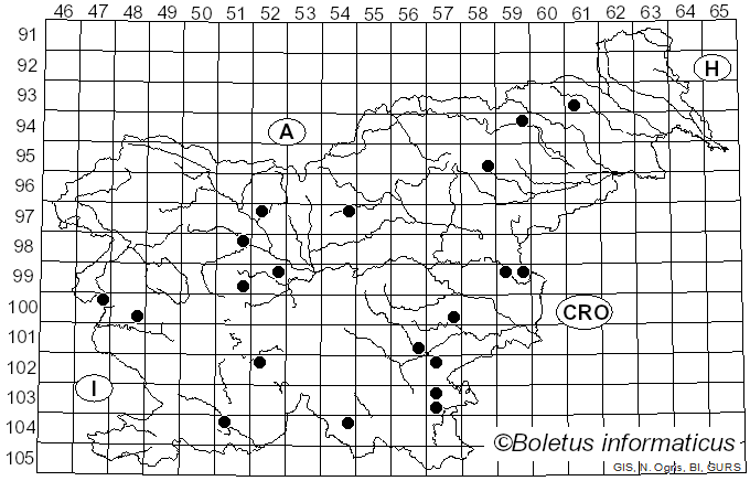 <i>Cortinarius anserinus</i> (Velen.) Rob. Henry