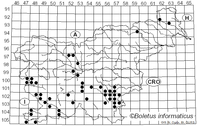 <i>Hygrophorus persoonii</i> Arnolds (1979)