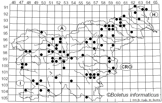 <i>Leucocortinarius bulbiger</i> (Alb. & Schwein.) Singer (1945)