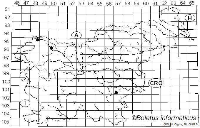<i>Monilinia</i> Honey (1928)
