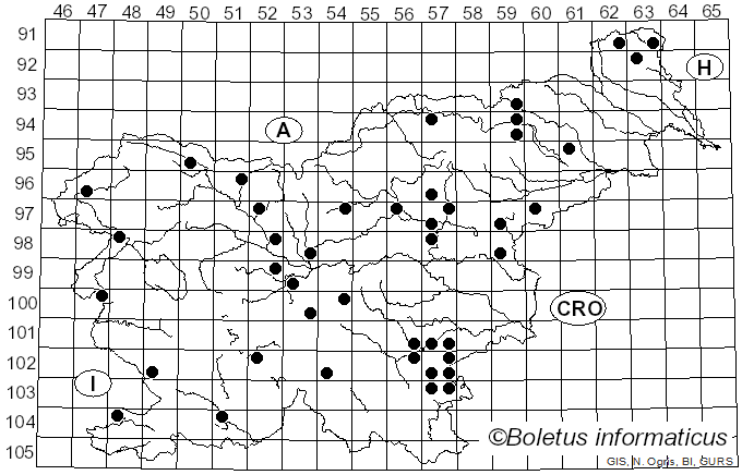 <i>Leccinum holopus</i> (Rostk.) Watling (1960)