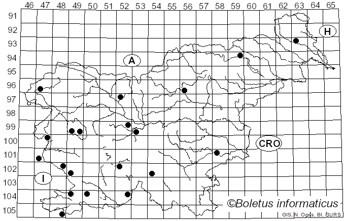 <i>Tricholoma batschii</i> Gulden (1969)