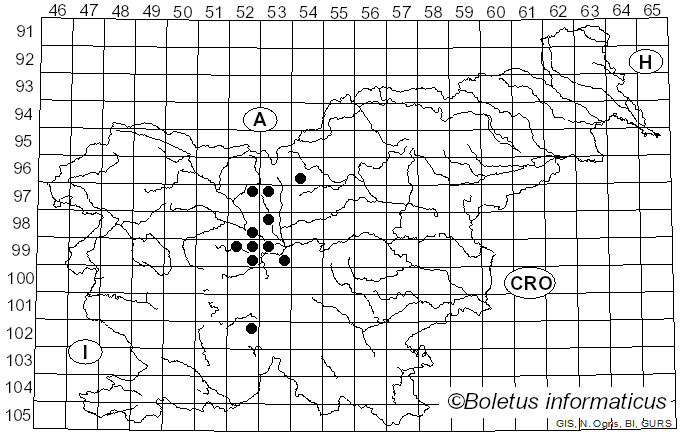 <i>Synchytrium</i> de Bary & Woronin (1863)