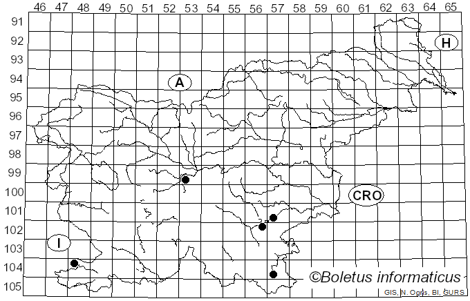 <i>Mycogone rosea</i> Link (1809)