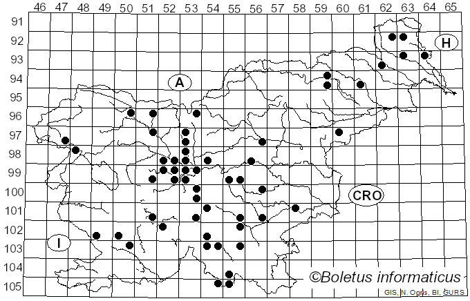 <i>Coriolus</i> Quél. (1886)