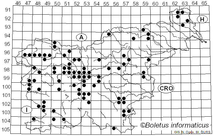 <i>Cuphophyllus pratensis</i> (Fr.) Bon (1985)