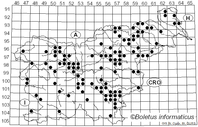 <i>Xerocomus ferrugineus</i> (Schaeff.) Alessio (1985)