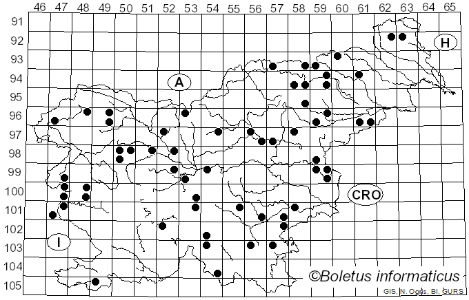 <i>Mycena galopus</i> var. <i>galopus</i> (Pers.) Quél. (1871)